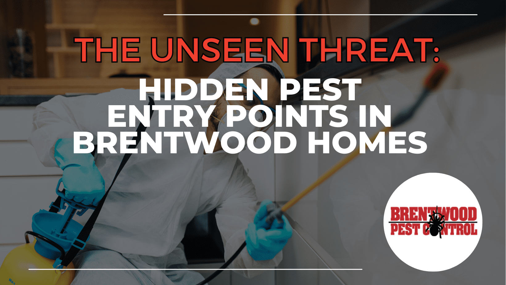 The Unseen Threat: Hidden Pest Entry Points in Brentwood Homes ...