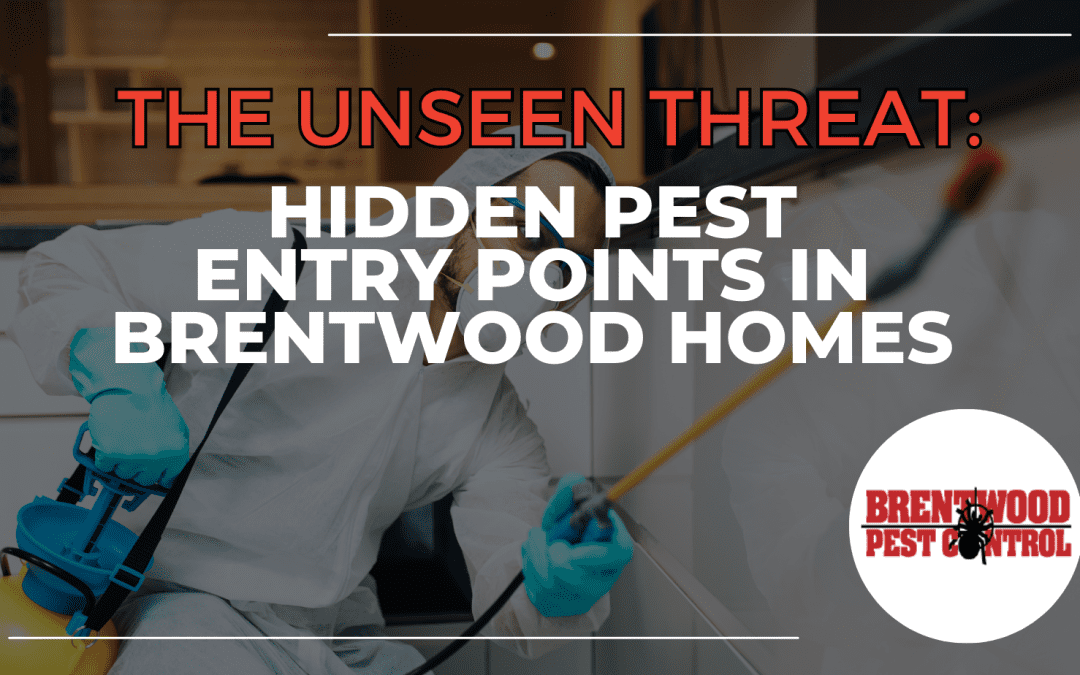 The Unseen Threat: Hidden Pest Entry Points in Brentwood Homes￼