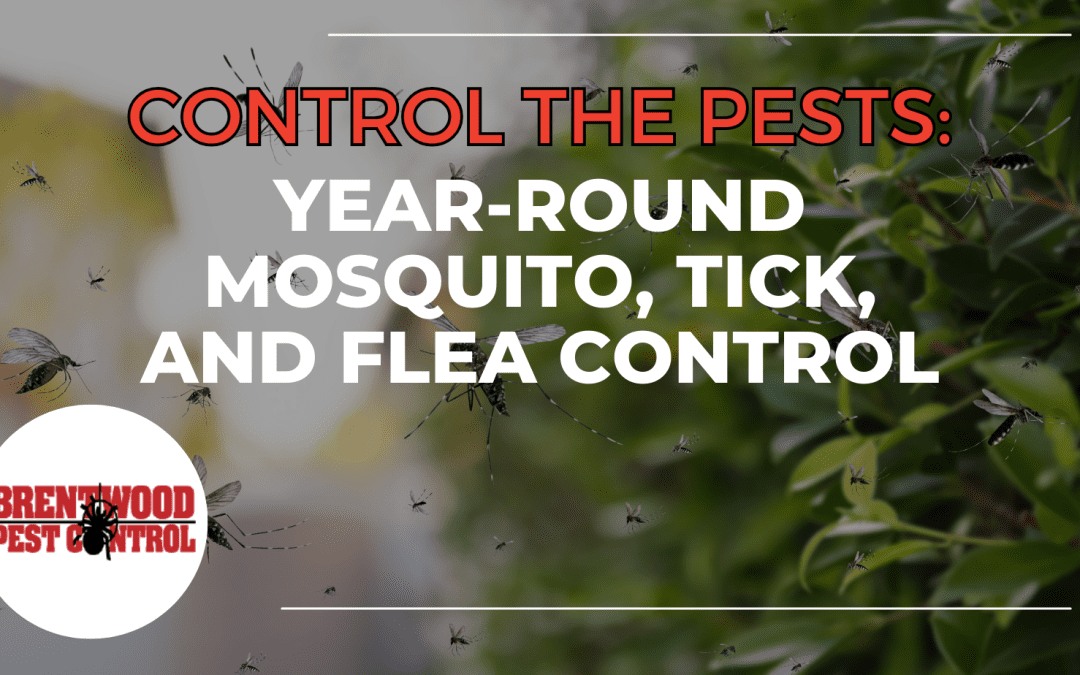 Ensuring Peace of Mind: Year-Round Mosquito, Tick, and Flea Control with Brentwood Pest Control