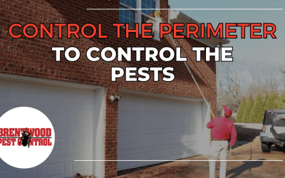 Safeguarding Your Home: The Importance of Perimeter Pest Control