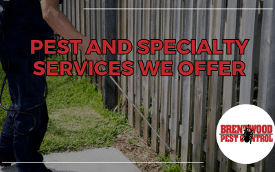 Comprehensive Pest Control Solutions: Your Partner in Creating a Pest-Free Environment￼