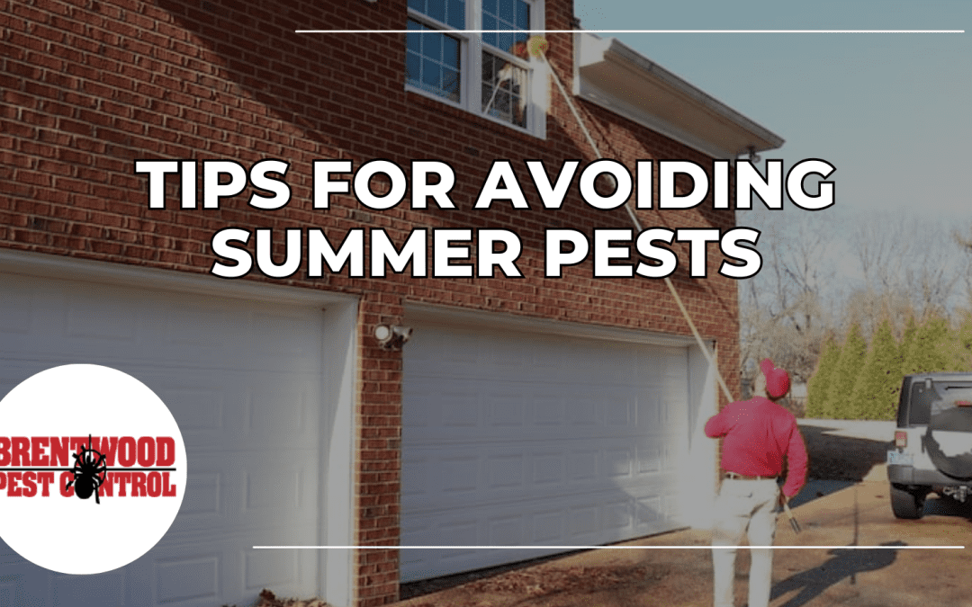 Summer Pest Control: Dos and Don’ts to Keep Your Home Pest-Free￼