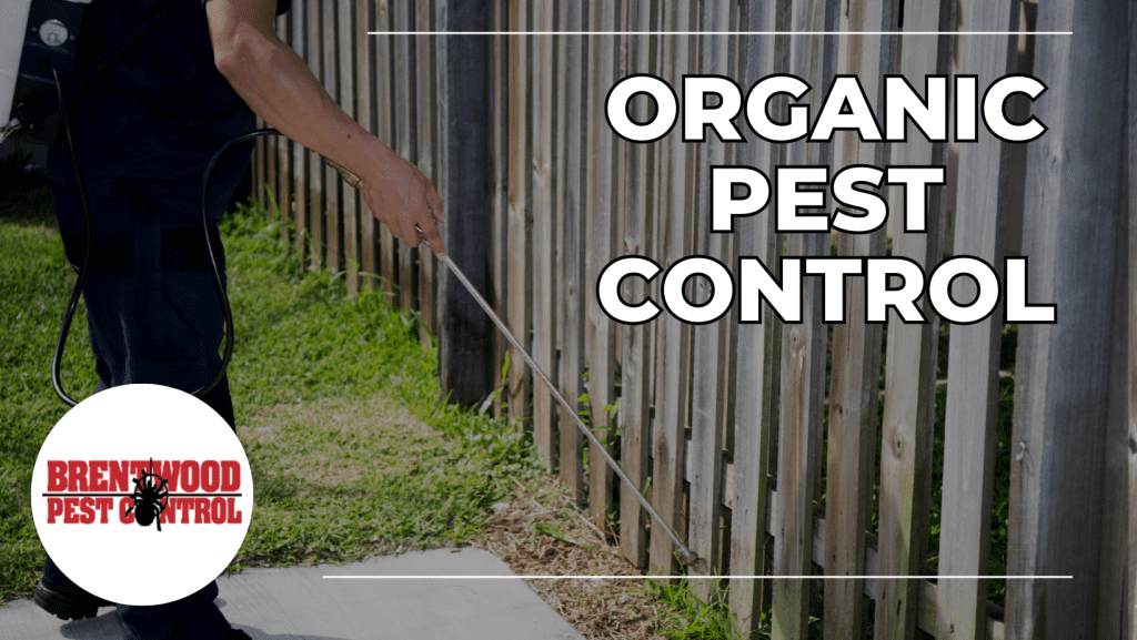 Organic Pest control