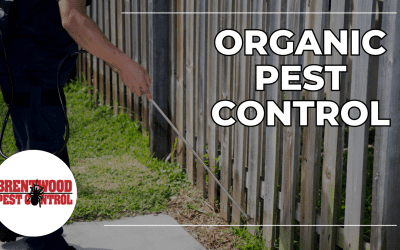 Pest-Proofing Your Garden: Tips for Organic Pest Control￼