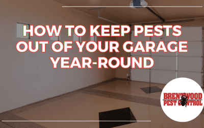 Comprehensive Guide: Keeping Your Garage Pest-Free Year-Round