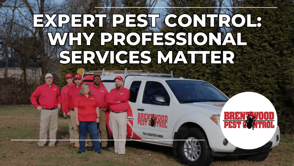 Expert Pest Control_ Why Professional Services Matter