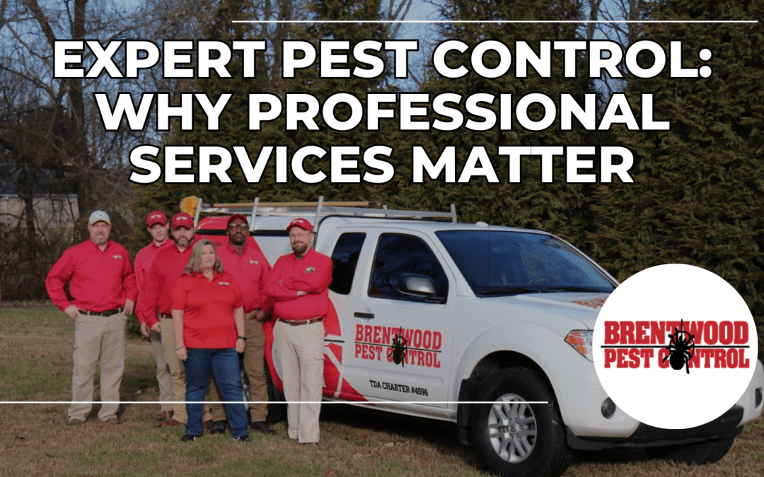 Expert Pest Control with Brentwood Pest Control: Why Professional Services Matter