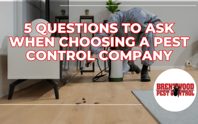 Questions to Ask Pest Control Companies: Ensuring You Make the Right Choice