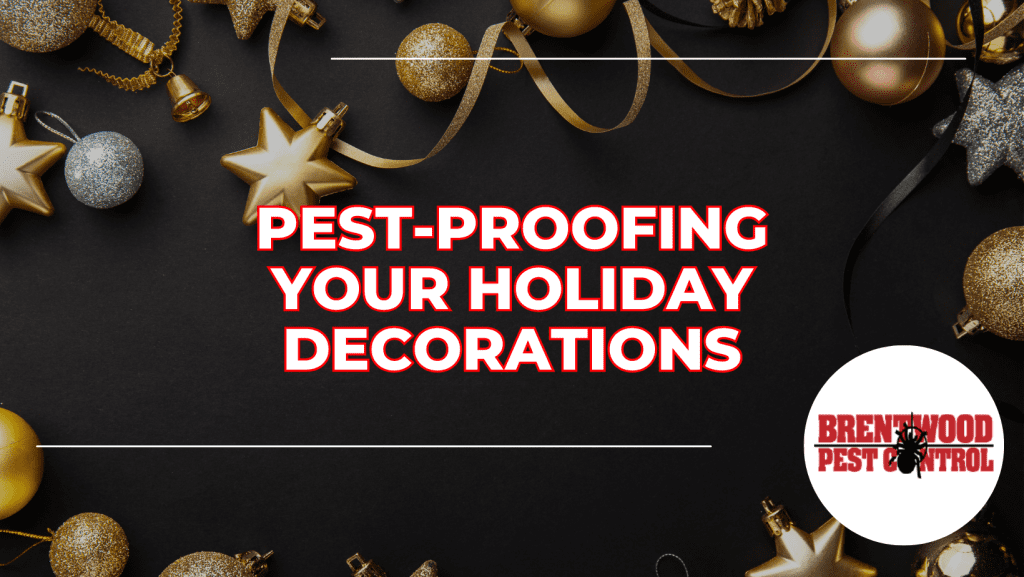 Pest-Proofing Your Holiday Decorations