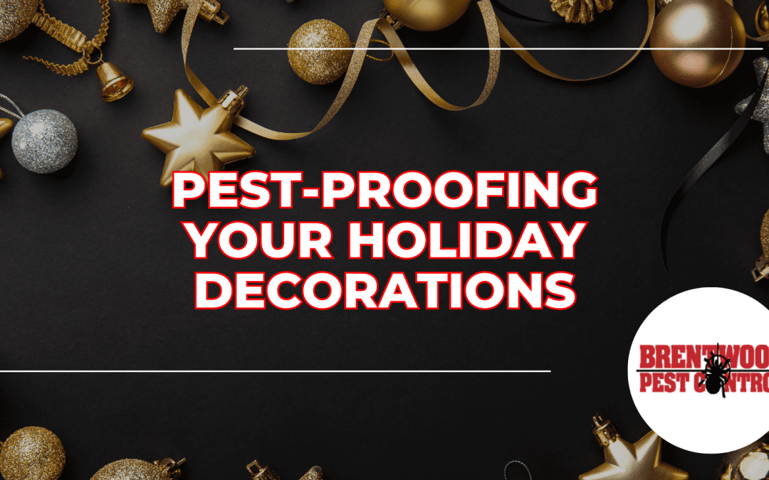 Pest-Proofing Your Holiday Decorations: Tips to Avoid Unwanted Surprises