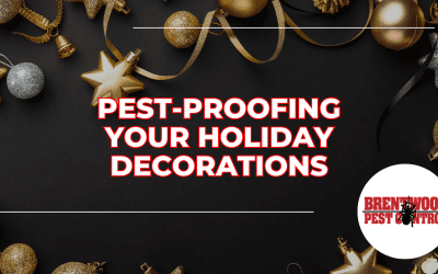 Pest-Proofing Your Holiday Decorations: Tips to Avoid Unwanted Surprises