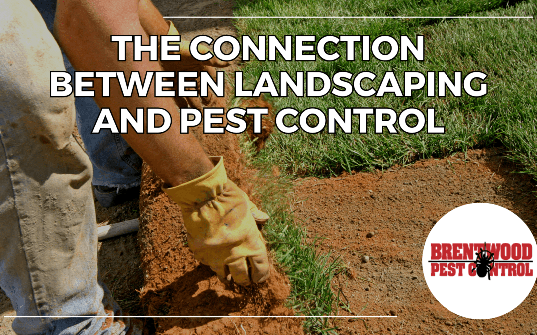 The Connection Between Landscaping and Pest Control: What Every Homeowner Should Know