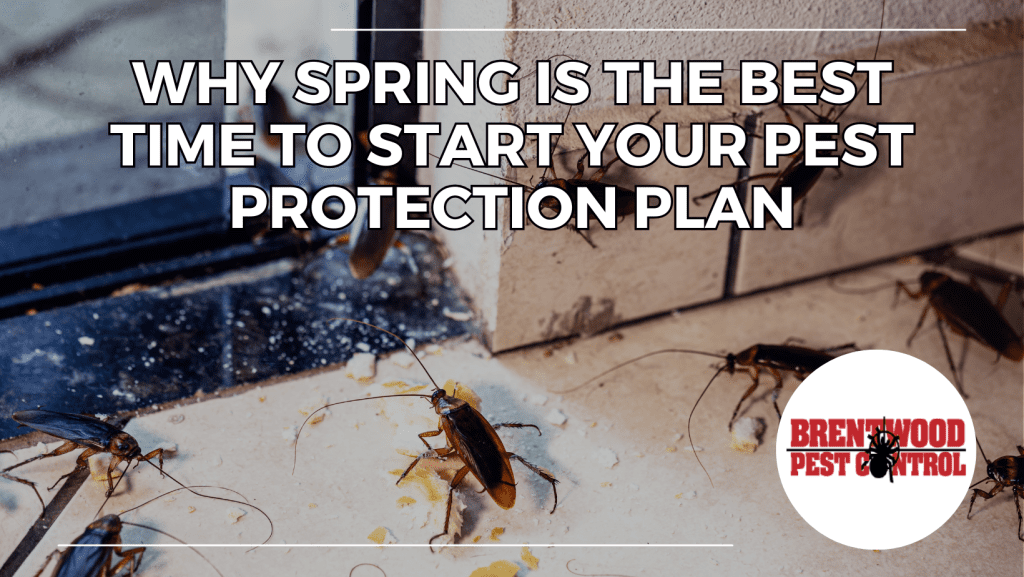 Pest Protection