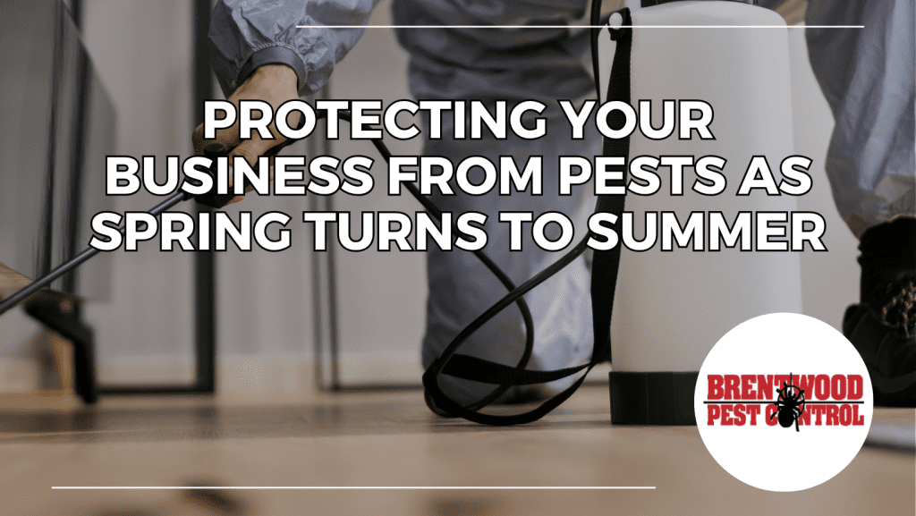Business Pest Control
