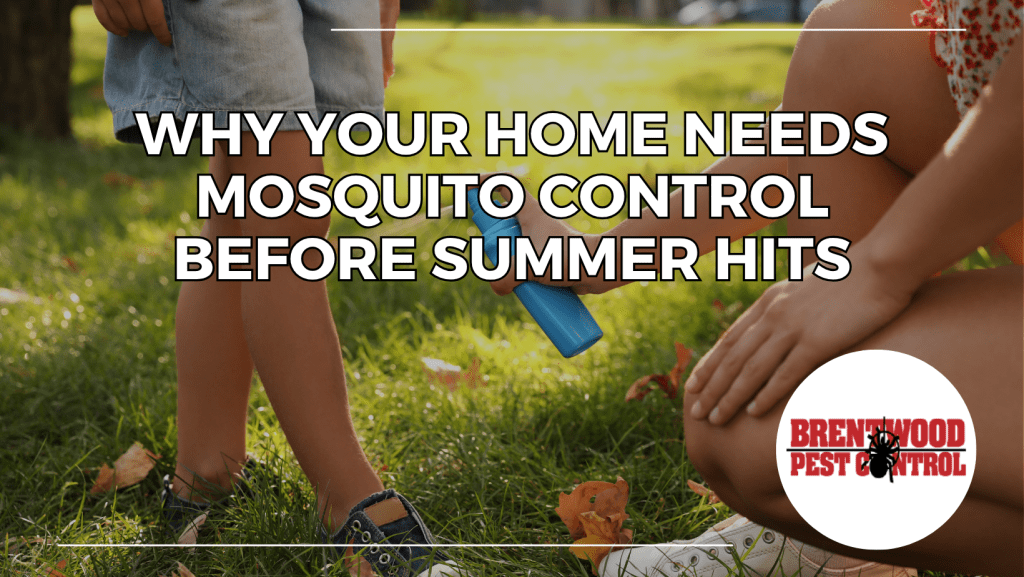 Mosquito Control