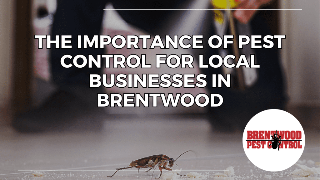 Business Pest Control