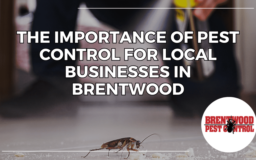 The Importance of Pest Control for Local Businesses in Brentwood