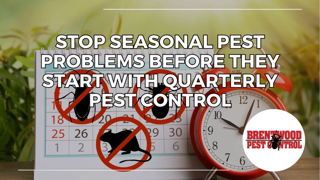 Seasonal calendar with bugs marked for each season, featured by Brentwood Pest Control to highlight quarterly pest control services that prevent infestations year-round in Brentwood homes.