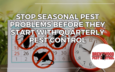 Stop Seasonal Pest Problems Before They Start with Quarterly Pest Control