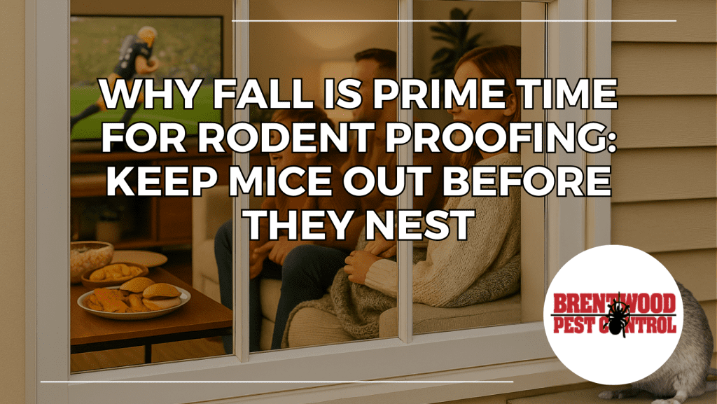 Family relaxing inside watching football while a mouse is blocked outside, featured by Brentwood Pest Control to show safe, effective pest control solutions that keep rodents out of Brentwood homes.