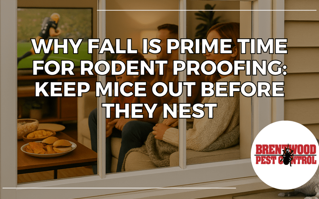 Why Fall Is Prime Time for Rodent Proofing: Keep Mice Out Before They Nest
