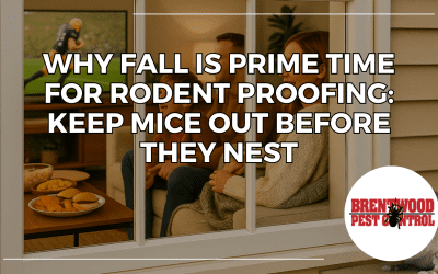 Why Fall Is Prime Time for Rodent Proofing: Keep Mice Out Before They Nest