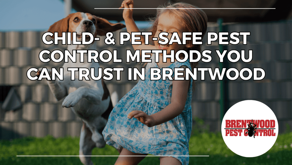 Brentwood Pest Control graphic with a young girl playing outside with a dog. Learn about safe pest control methods in Brentwood designed to protect children, pets, and families.