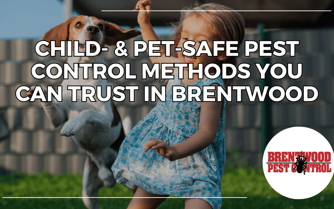 Child- & Pet-Safe Pest Control Methods You Can Trust in Brentwood
