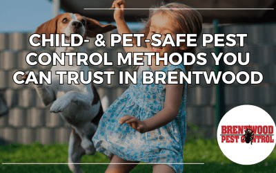 Child- & Pet-Safe Pest Control Methods You Can Trust in Brentwood