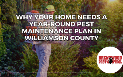Why Your Home Needs a Year-Round Pest Maintenance Plan (Not Just One-Time Treatments) in Williamson County