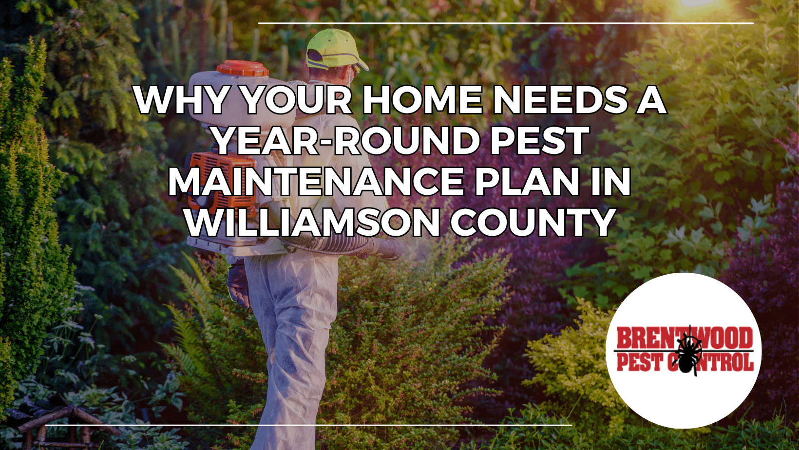 Professional pest control technician spraying treatment in a landscaped yard, representing year-round pest maintenance services for Williamson County homes.