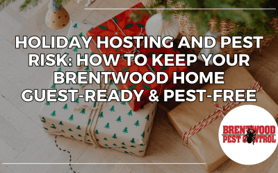 Holiday Hosting and Pest Risk: How to Keep Your Brentwood Home Guest Ready and Pest Free
