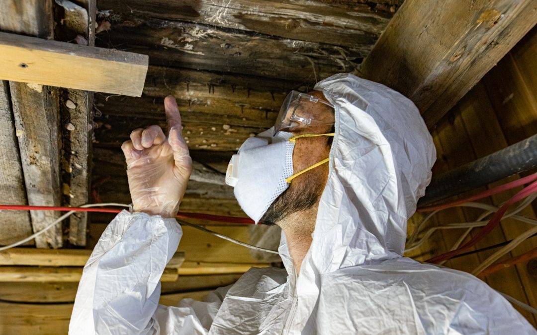 Crawl Space Moisture in Winter: How It Attracts Pests (And What Tennessee Homeowners Can Do)
