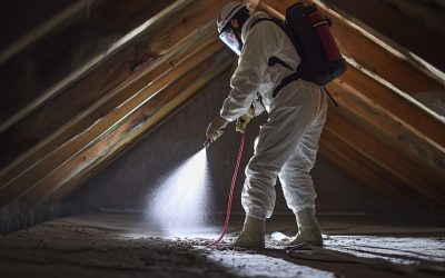 Rodents in the Attic in Nashville? Why Mice and Rats Invade Homes in February