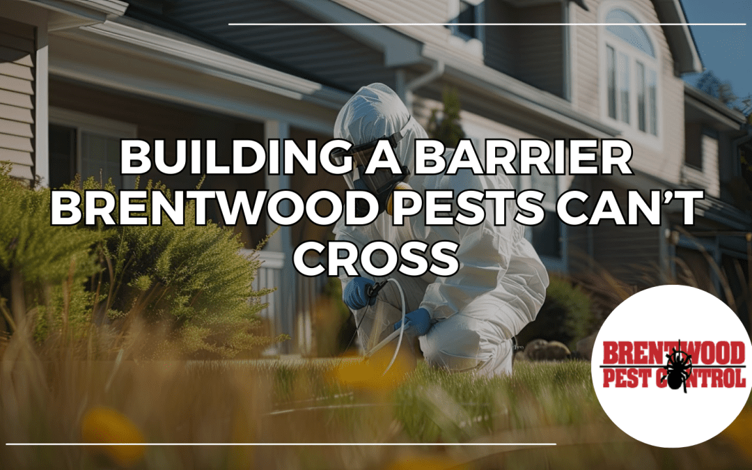 The Science of Perimeter Protection: Building a Barrier Brentwood Pests Can’t Cross