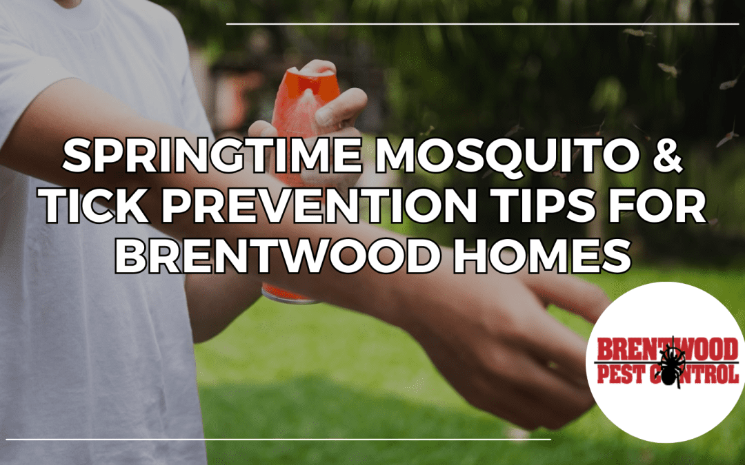 Springtime Mosquito & Tick Prevention Tips for Brentwood Homes