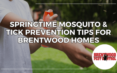 Springtime Mosquito & Tick Prevention Tips for Brentwood Homes