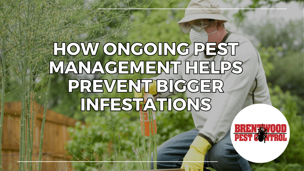Tennessee Pest Management