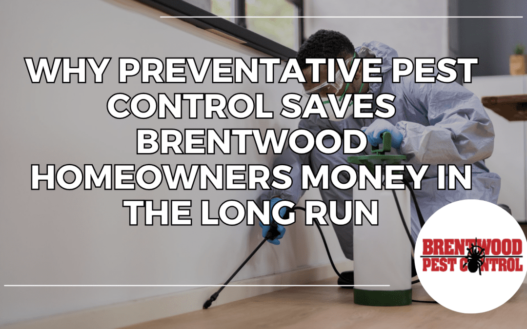 Why Preventative Pest Control Saves Brentwood Homeowners Money in the Long Run