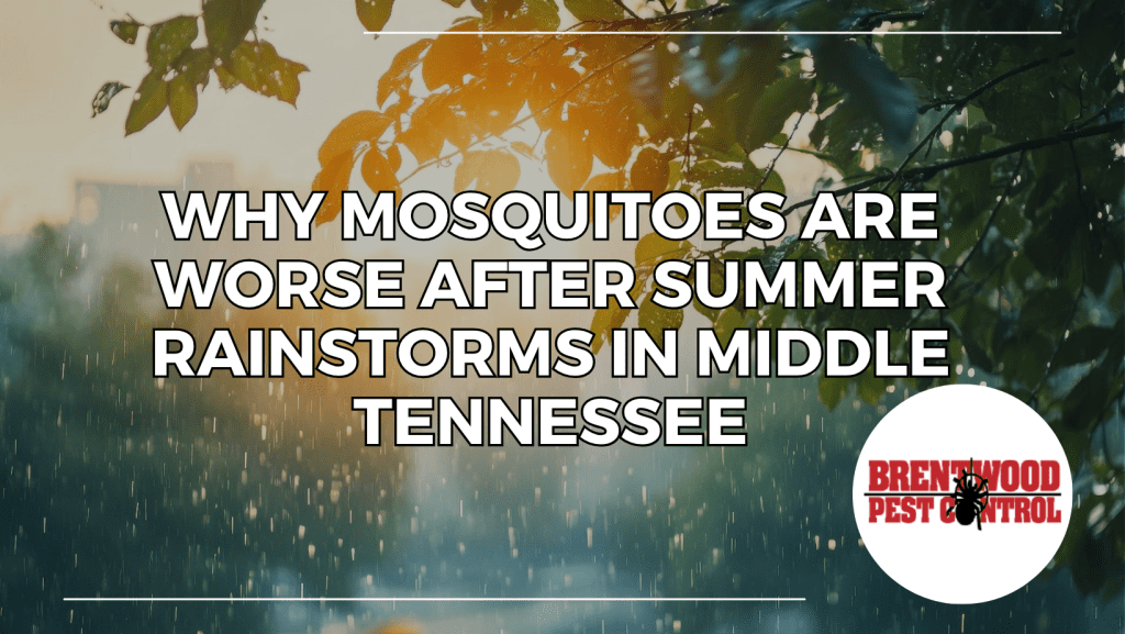 Tennessee Pest Control